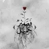 muntadar.al.shmar