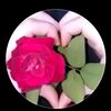 hi336301