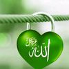 apnapakistan3683