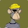 user7554706195687