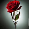 user152064753