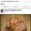 georgieboy359
