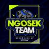 NGOSEK_TEAM