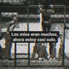 juanjo_6664