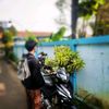 dyy_kiboy