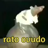 bezoca44