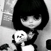 s.adriane_