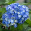 empatheticsoul04