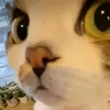 lhdkienne9615