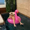 meiokillo