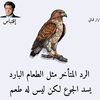user8448182590995