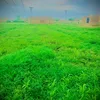 nasirgamingyt