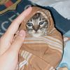 cely.oo6