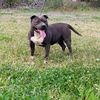 godson6014