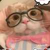 ily_meiinae