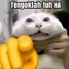 itsmekingkariz