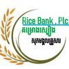 ricebank.plc