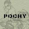 pochy502