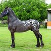 rancho_mazariegos