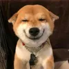 snowflakers_