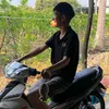 trnam81gialai