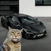 7themusti7