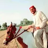 khalil.ahmed5215