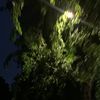 STORYY