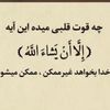 user223344558286
