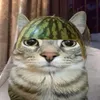khangsustradeacc