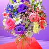user6301301236883a