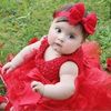 user8115653200360