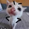 kim.anh1694