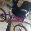 alfaro.faro40