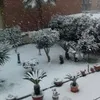 raffaeladinardo45
