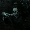 nekyltyrnikarasik