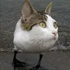 hookeeeeyuikop