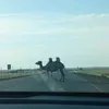 zukuri_13