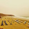 rachidshribri