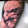 manu229461