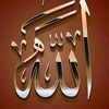 fathey.elhadidi