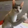uocmolamgamethu