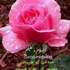 nadir.hussain0306