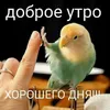 user8810433381708