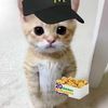 ionlylikefood5