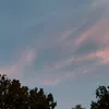 nika_vori128