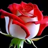 fatna.bnibourk
