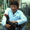 AZ888 KINH NGHIỆM ĐÁ GÀ