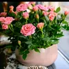 zhourzhour75