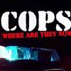 cops.captain7